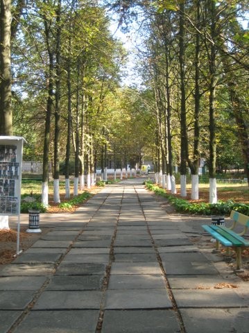 Файл:Scul 144.jpg