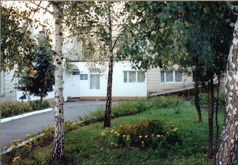 Файл:Lyceum birch.jpg