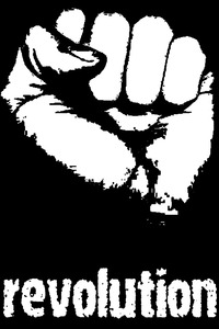 Файл:Revolution fist.jpg