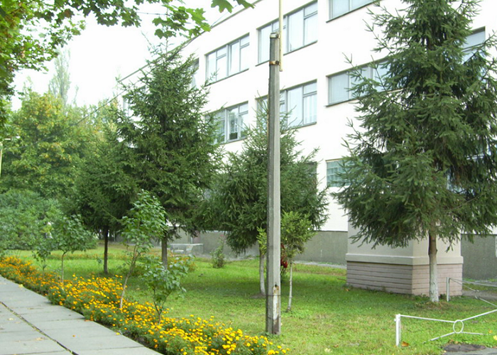 Файл:S253.png